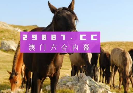 疫报 第13页